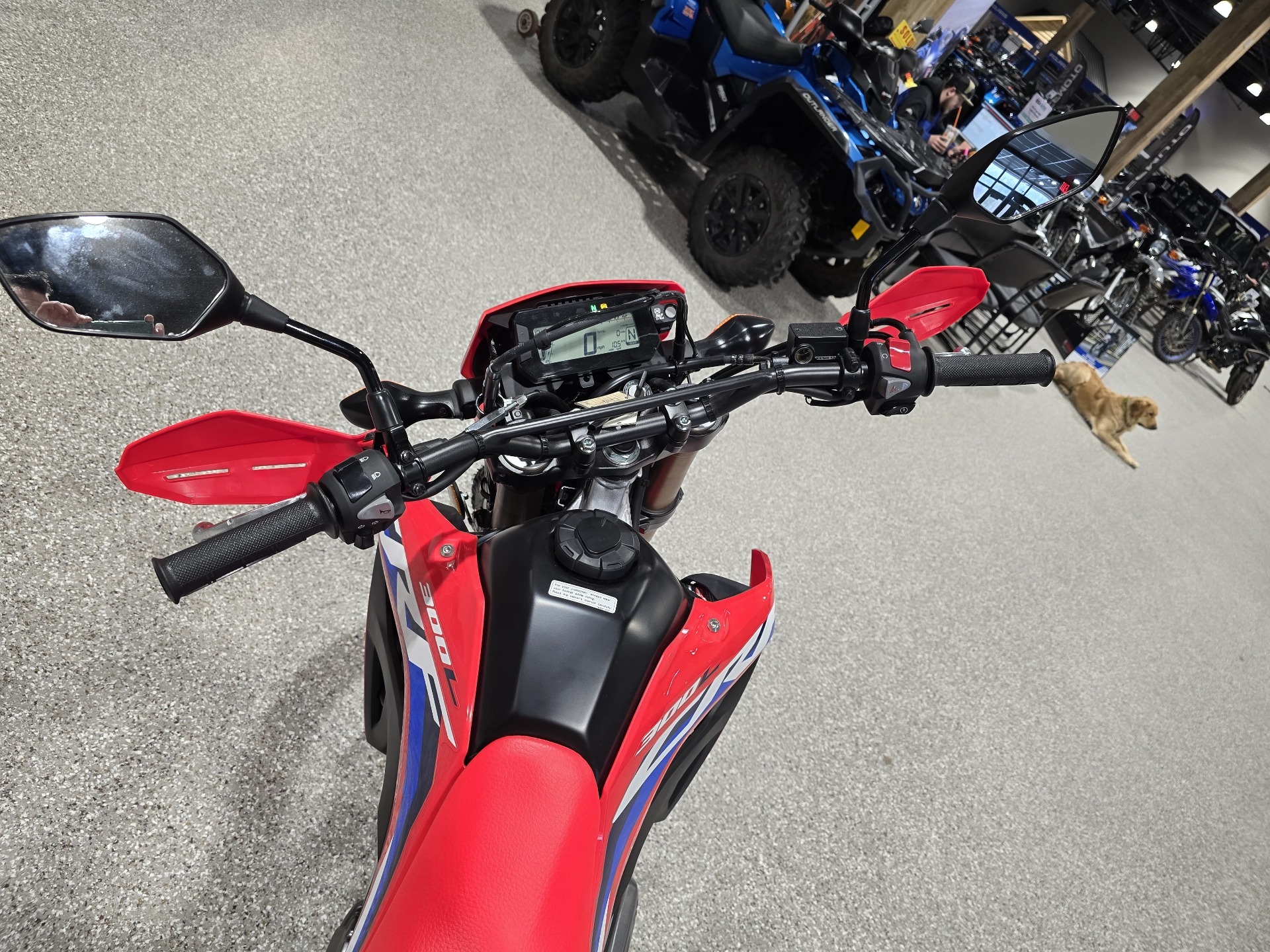 2024 Honda CRF300L ABS in Gorham, New Hampshire - Photo 10