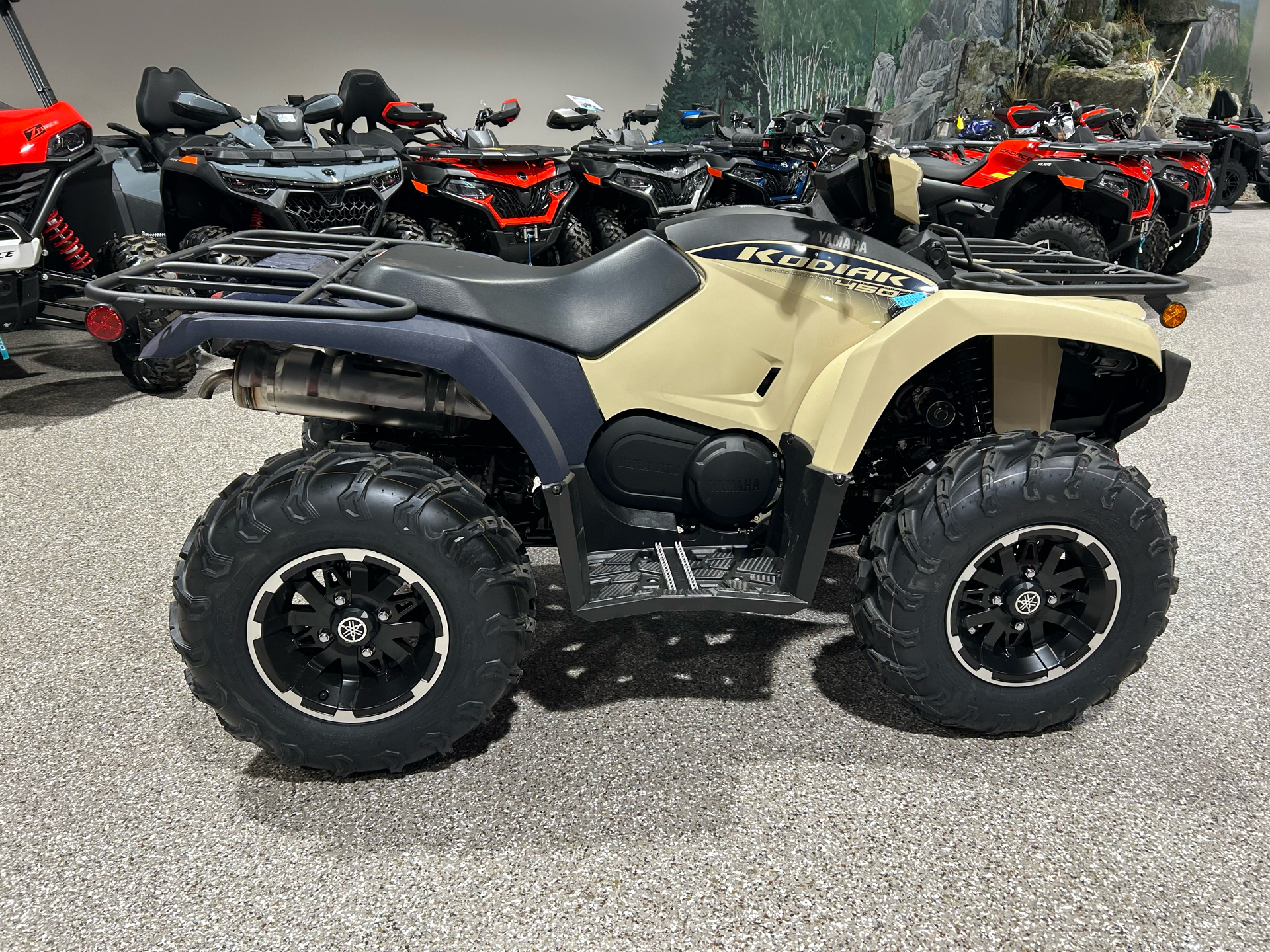 2025 Yamaha Kodiak 450 EPS SE in Gorham, New Hampshire - Photo 9