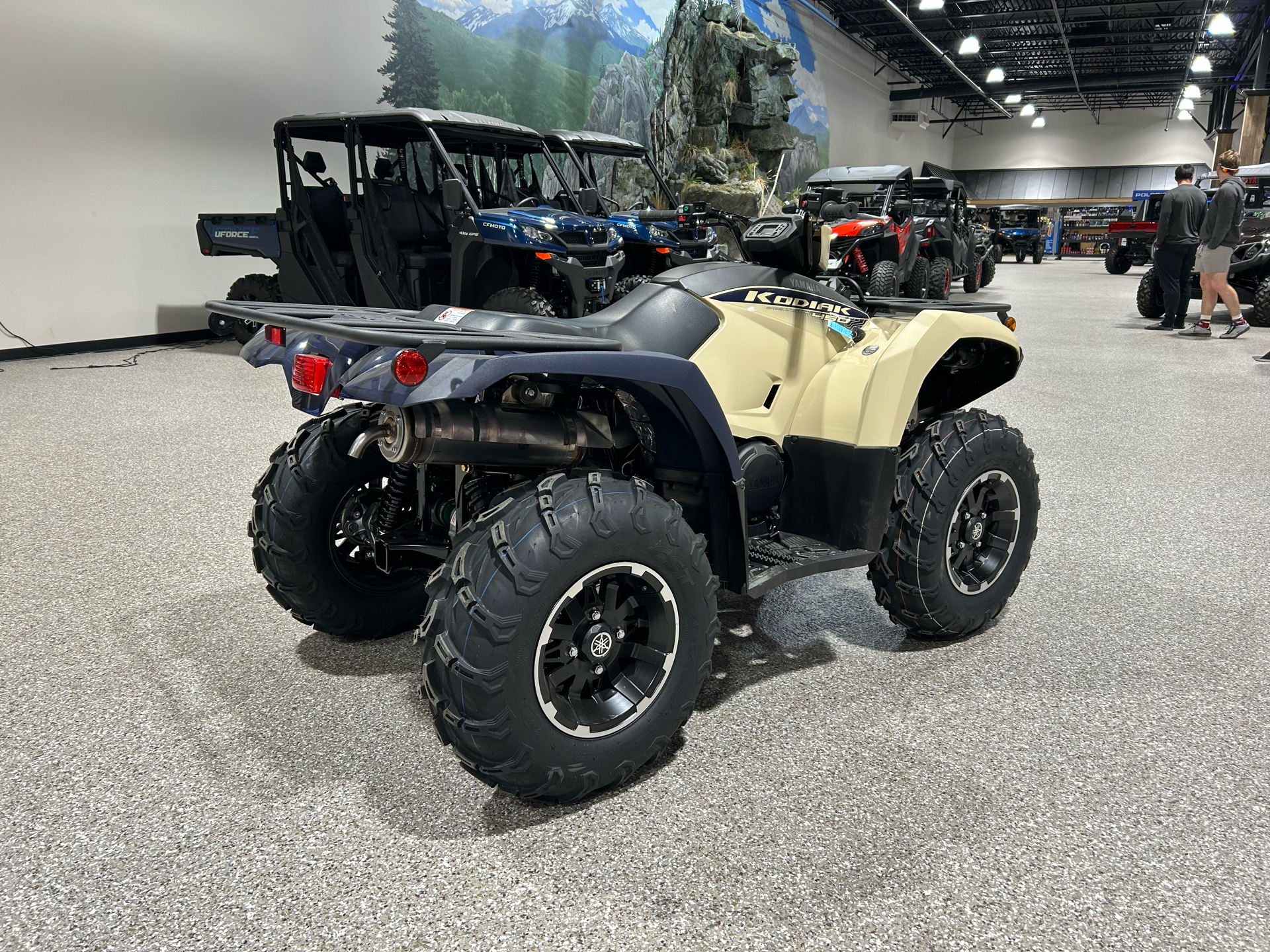 2025 Yamaha Kodiak 450 EPS SE in Gorham, New Hampshire - Photo 4