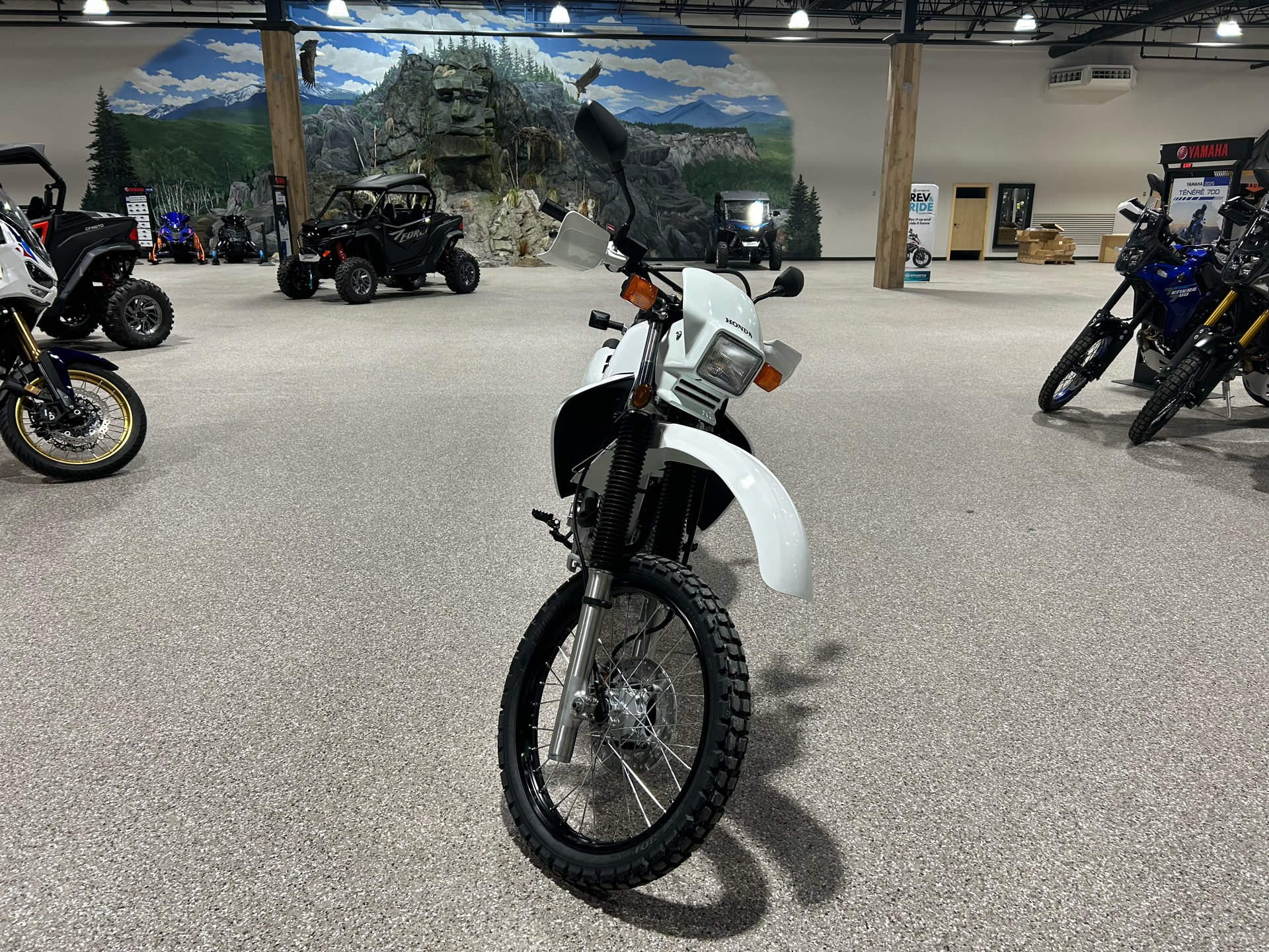 2025 Honda XR650L in Gorham, New Hampshire - Photo 9