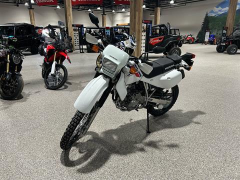 2025 Honda XR650L in Gorham, New Hampshire - Photo 1