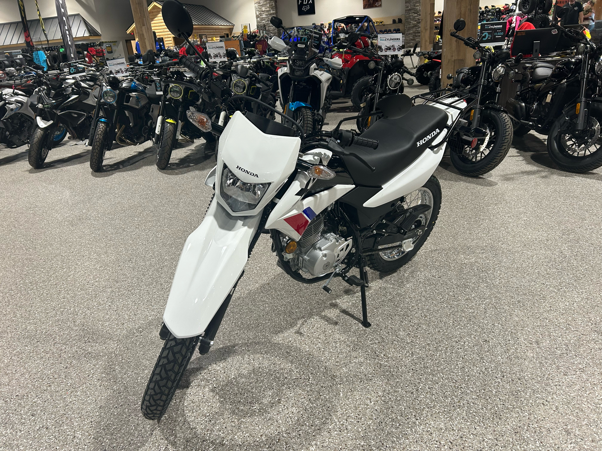 2025 Honda XR150L in Gorham, New Hampshire - Photo 1