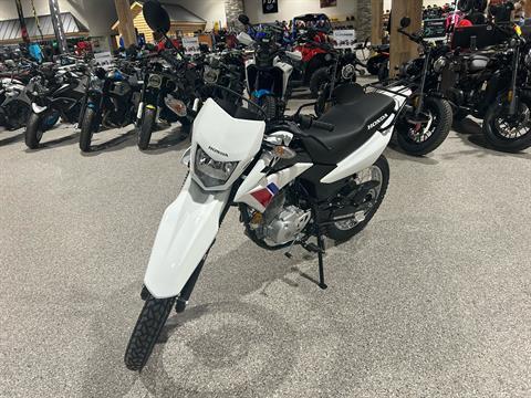 2025 Honda XR150L in Gorham, New Hampshire - Photo 1