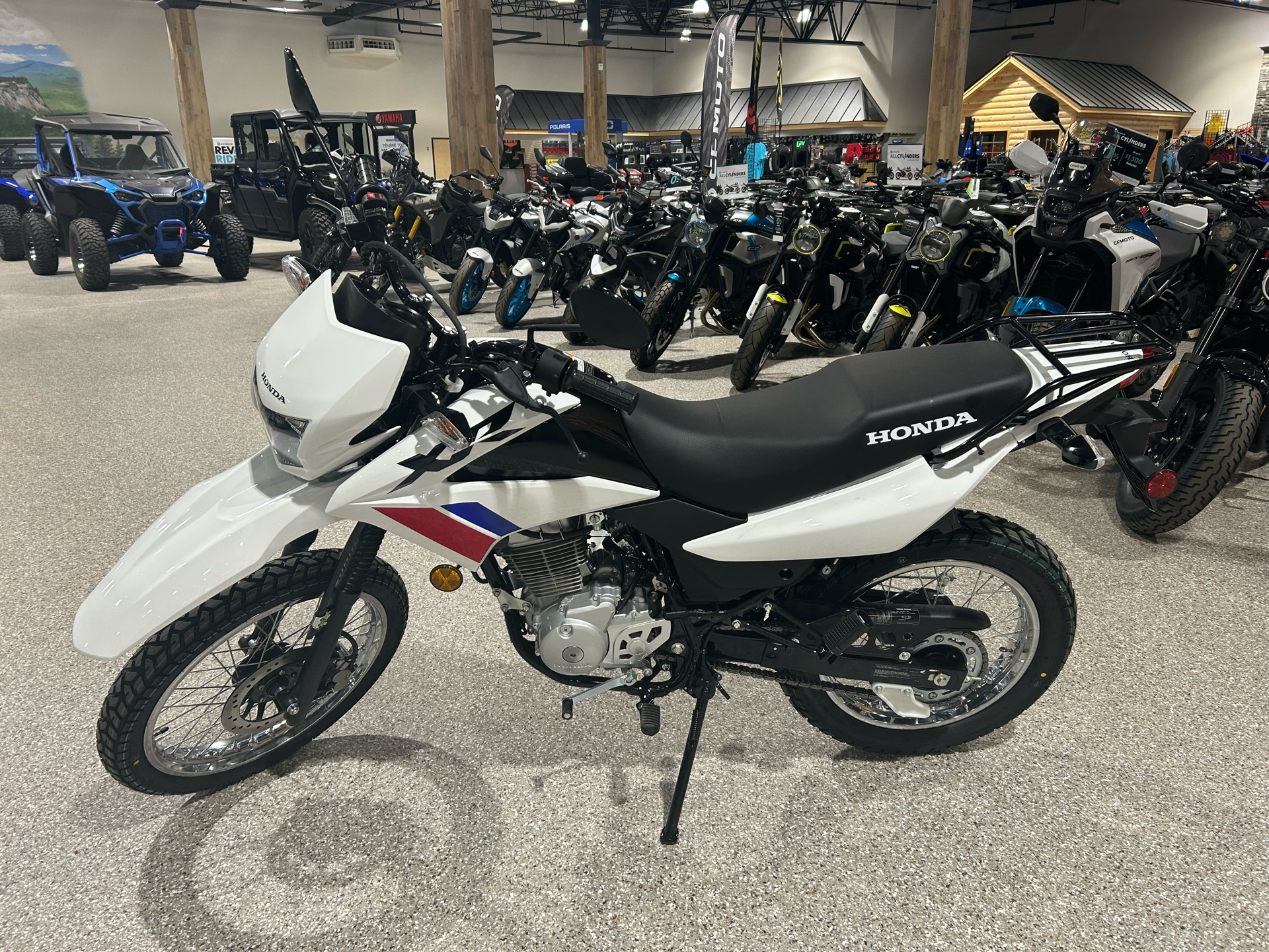 2025 Honda XR150L in Gorham, New Hampshire - Photo 2