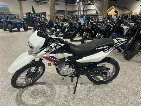 2025 Honda XR150L in Gorham, New Hampshire - Photo 2