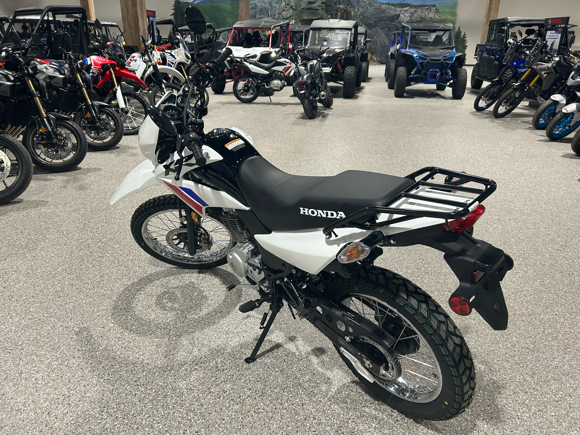 2025 Honda XR150L in Gorham, New Hampshire - Photo 3