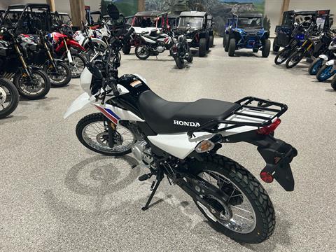 2025 Honda XR150L in Gorham, New Hampshire - Photo 3