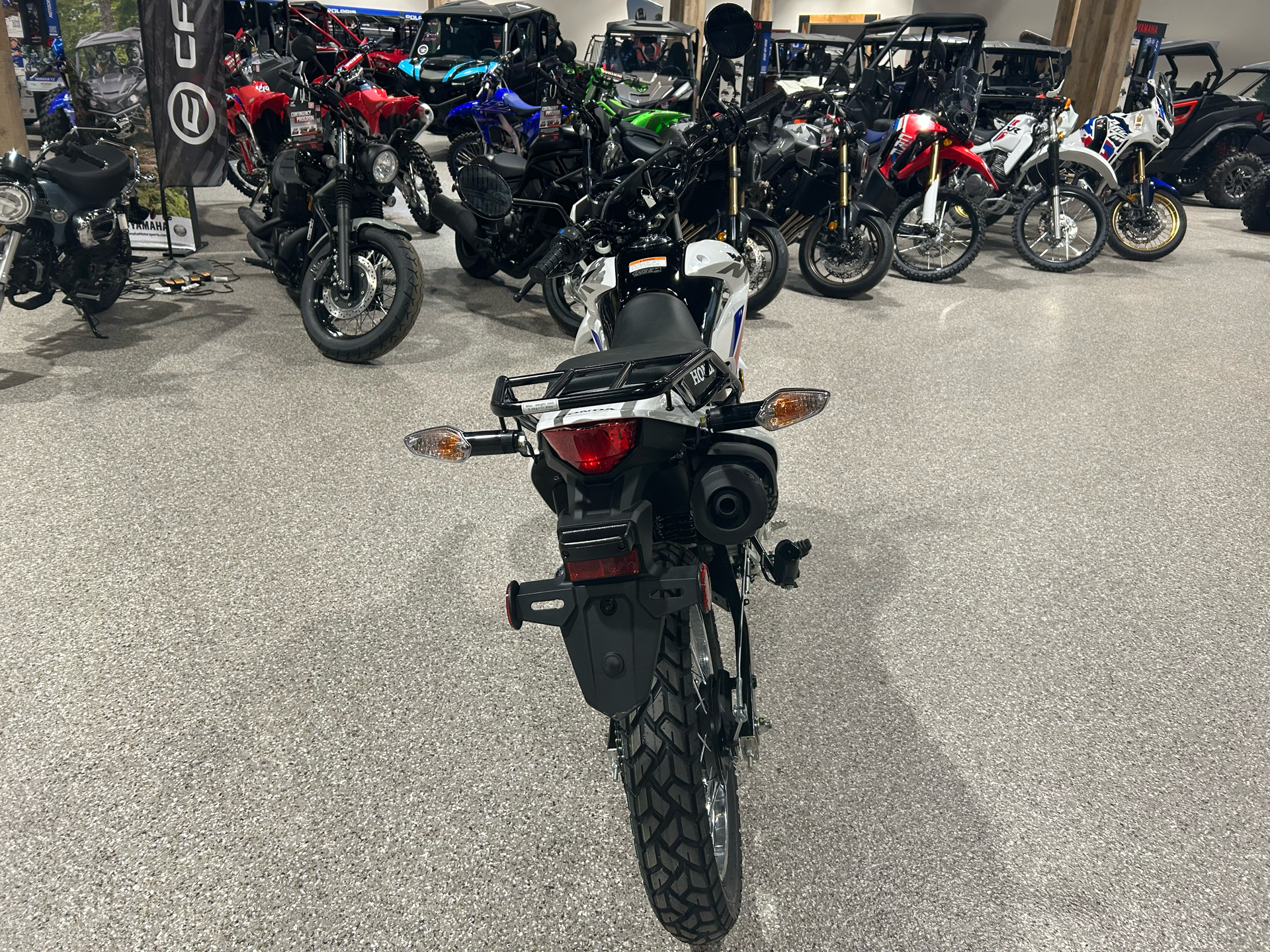 2025 Honda XR150L in Gorham, New Hampshire - Photo 4