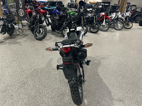 2025 Honda XR150L in Gorham, New Hampshire - Photo 4