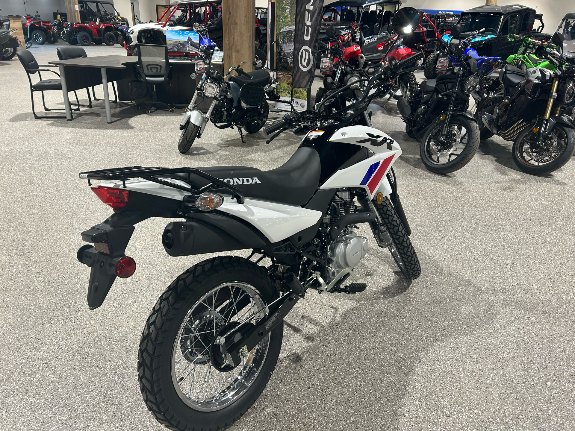 2025 Honda XR150L in Gorham, New Hampshire - Photo 5