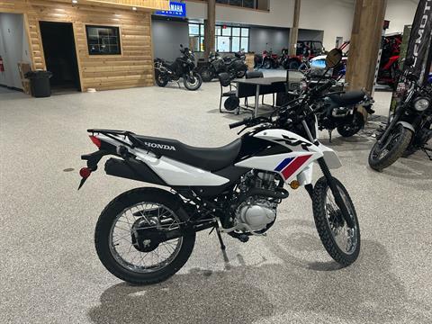 2025 Honda XR150L in Gorham, New Hampshire - Photo 6
