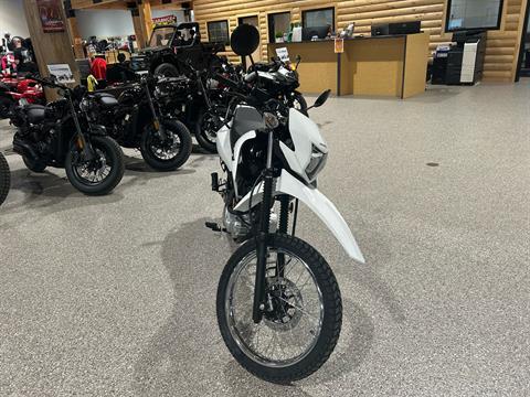 2025 Honda XR150L in Gorham, New Hampshire - Photo 8