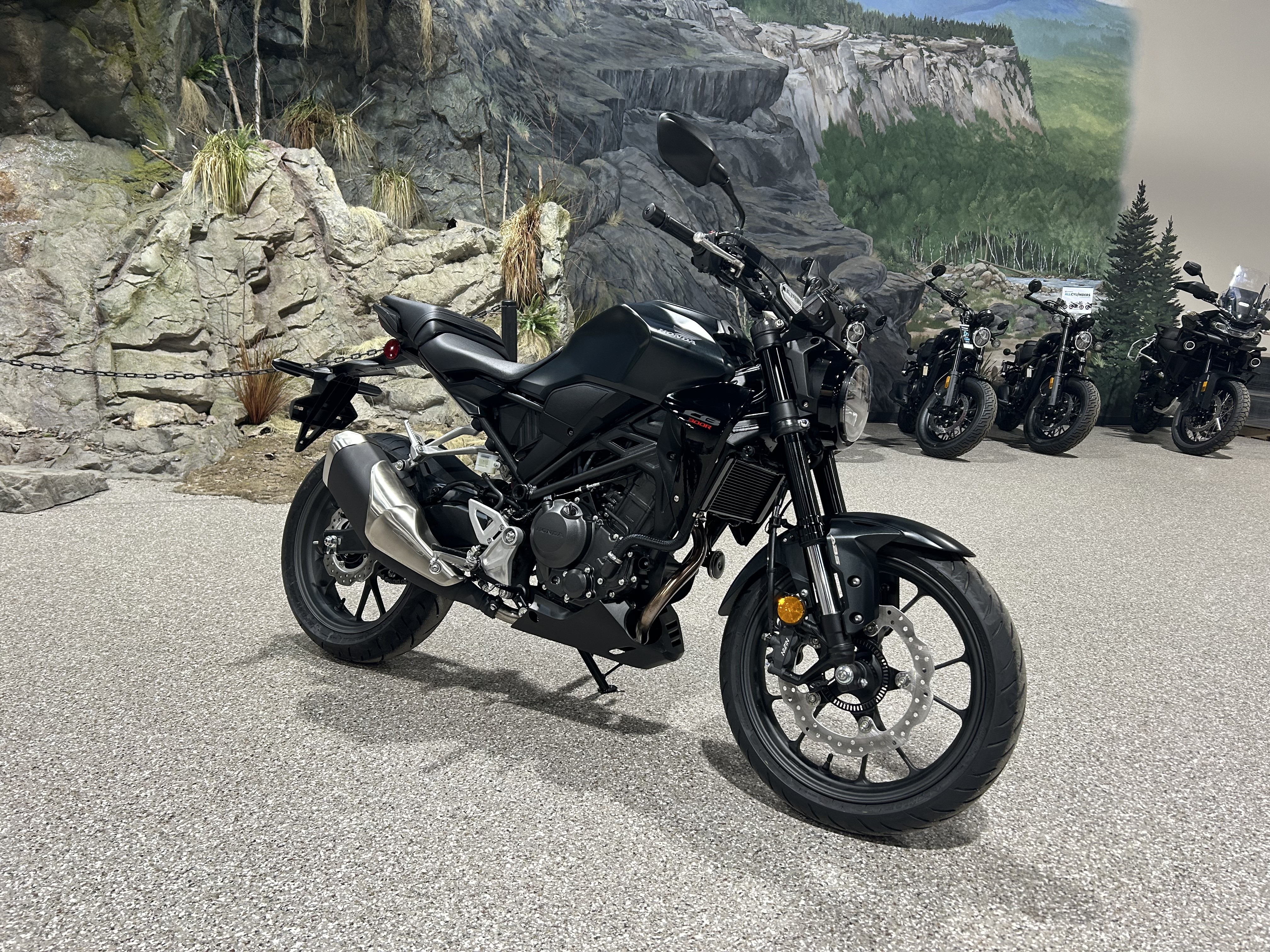 2025 Honda CB300R ABS for sale 1010312