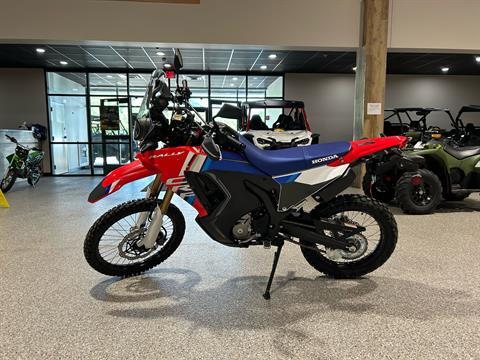 2025 Honda CRF300L Rally ABS in Gorham, New Hampshire - Photo 1