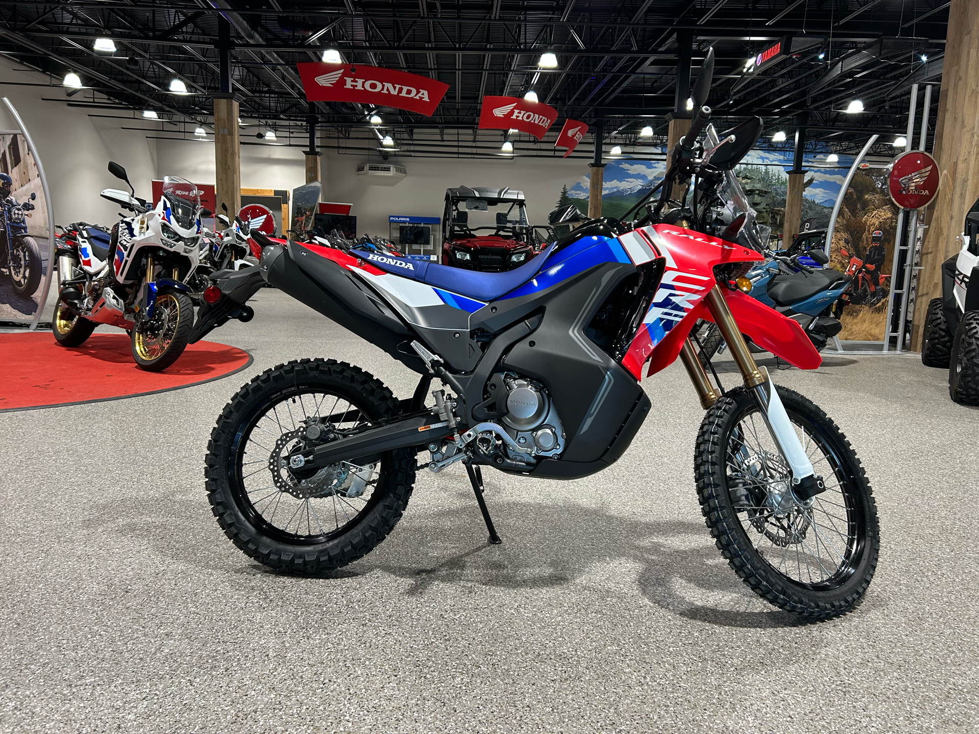 2025 Honda CRF300L Rally ABS in Gorham, New Hampshire - Photo 11