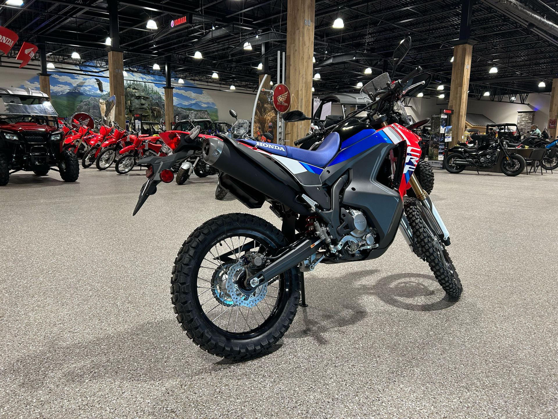 2025 Honda CRF300L Rally ABS in Gorham, New Hampshire - Photo 12