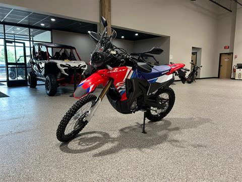 2025 Honda CRF300L Rally ABS in Gorham, New Hampshire - Photo 15