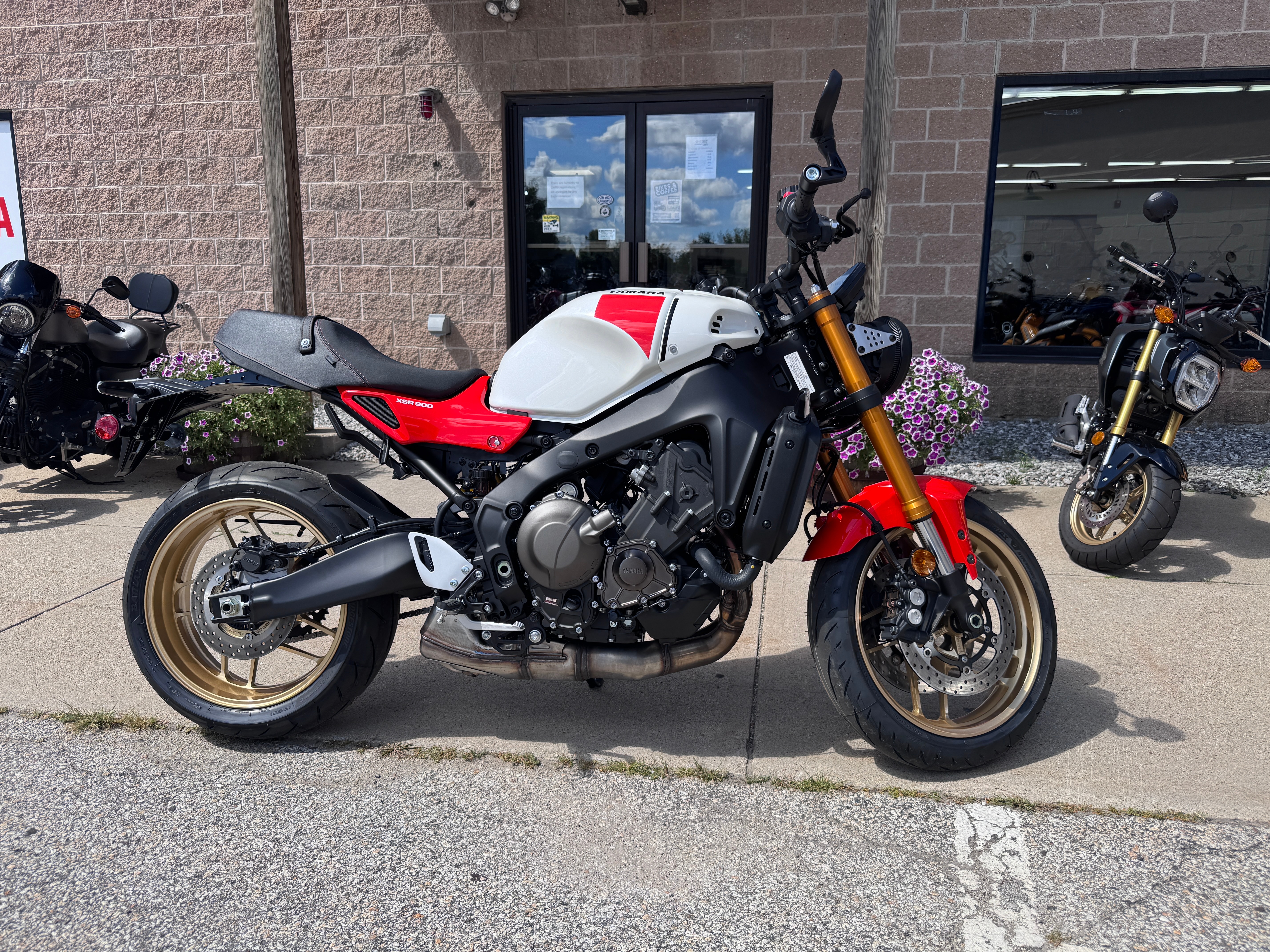 2026 Yamaha XSR900 for sale 1247432