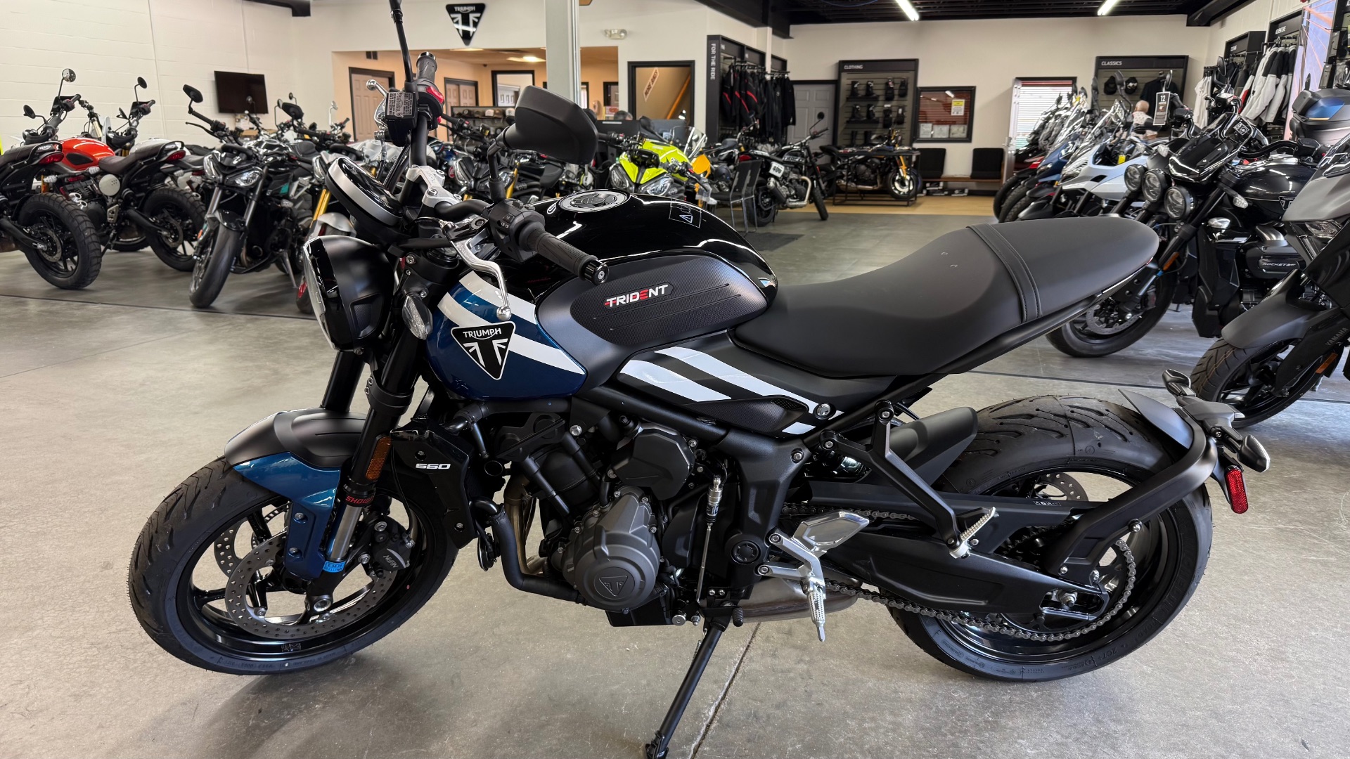 New 2025 Triumph Trident 660 Cobalt Blue / Sapphire Black
