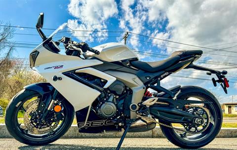 2025 Triumph Daytona 660 in Manchester, New Hampshire - Photo 1