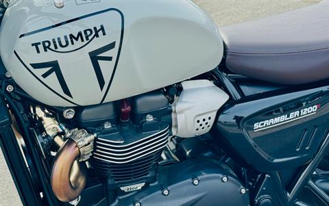 2024 Triumph Scrambler 1200 X in Manchester, New Hampshire - Photo 11
