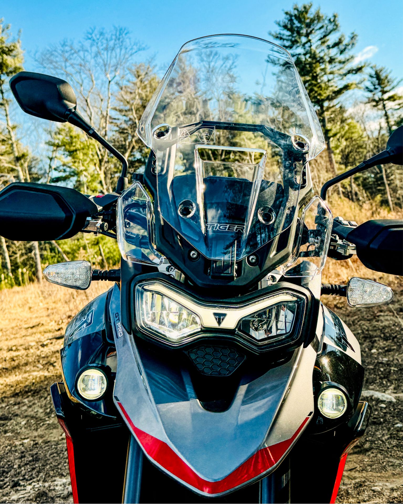 2025 Triumph Tiger 900 GT Pro in Manchester, New Hampshire - Photo 2