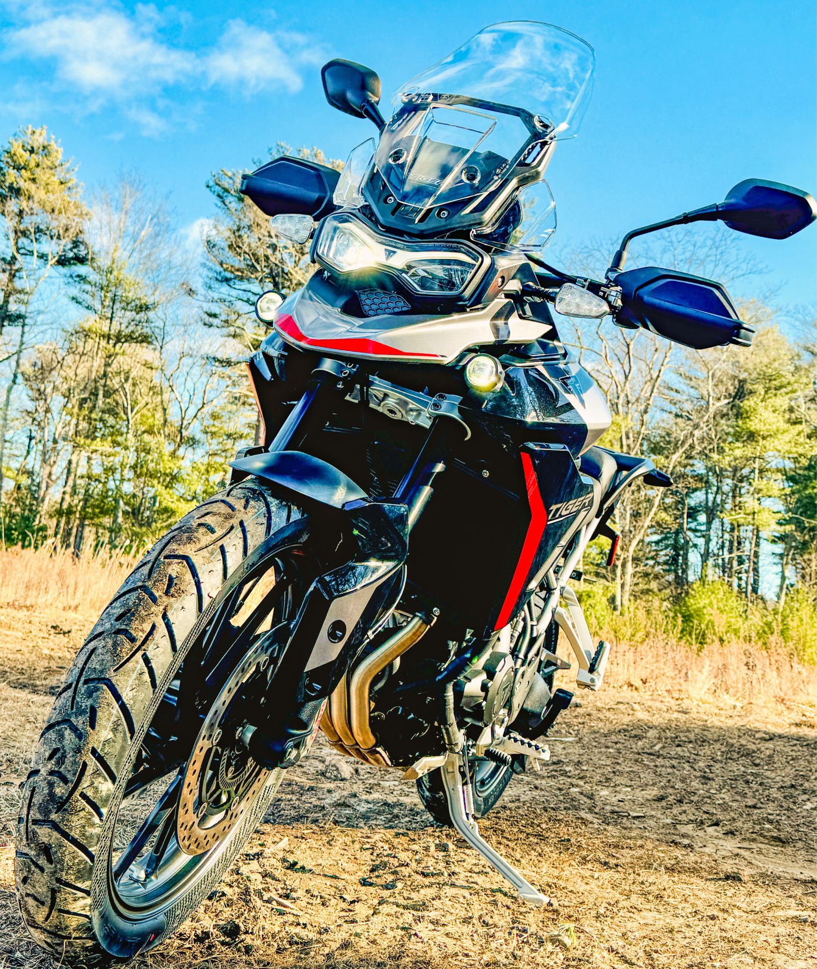 2025 Triumph Tiger 900 GT Pro in Manchester, New Hampshire - Photo 17