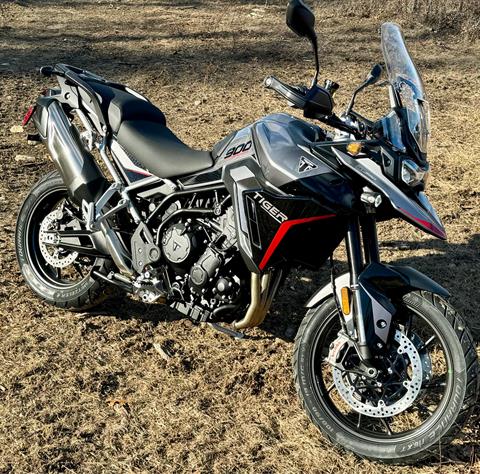 2025 Triumph Tiger 900 GT Pro in Manchester, New Hampshire - Photo 1