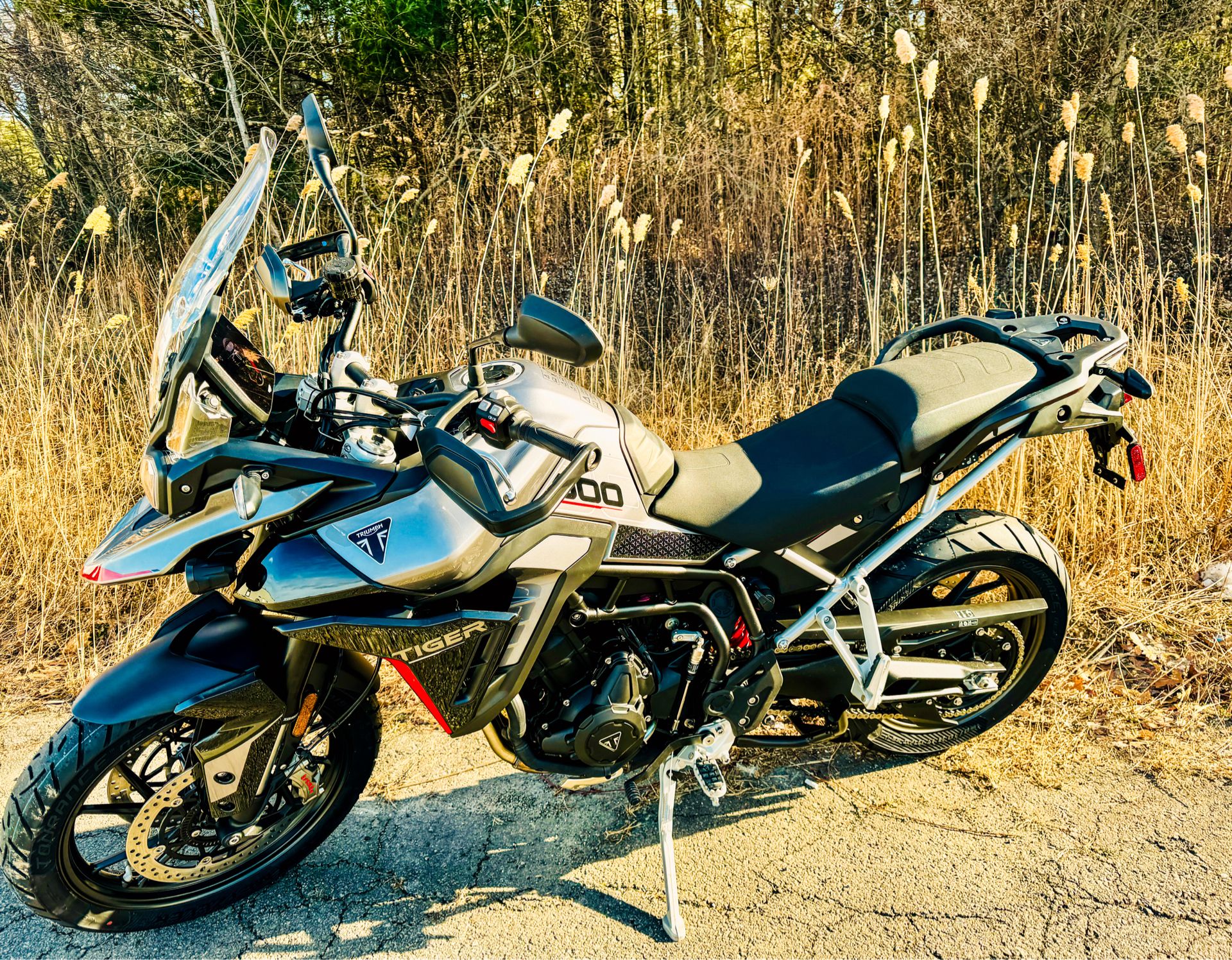 2025 Triumph Tiger 900 GT Pro in Manchester, New Hampshire - Photo 3