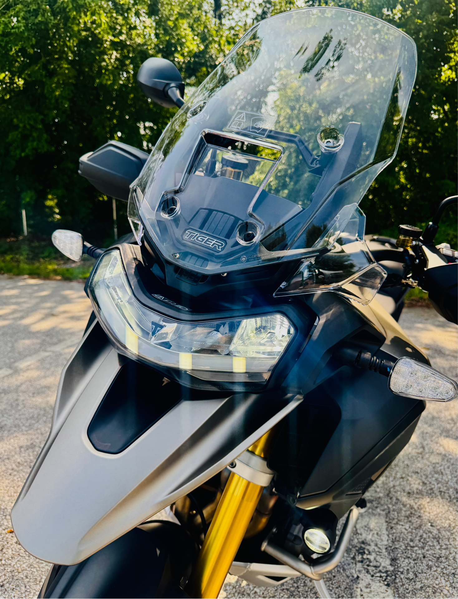 2025 Triumph Tiger 1200 Rally Pro in Manchester, New Hampshire - Photo 16