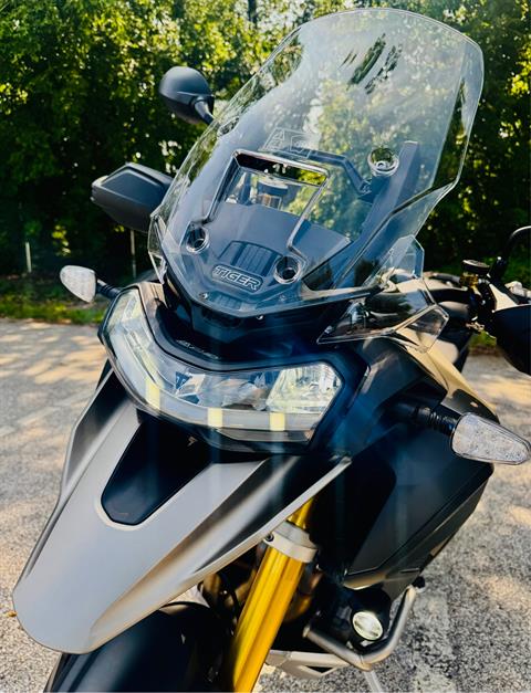 2025 Triumph Tiger 1200 Rally Pro in Manchester, New Hampshire - Photo 16