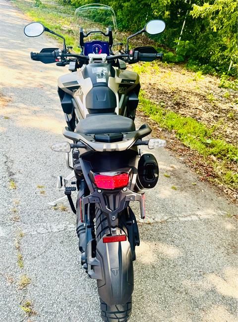 2025 Triumph Tiger 1200 Rally Pro in Manchester, New Hampshire - Photo 20