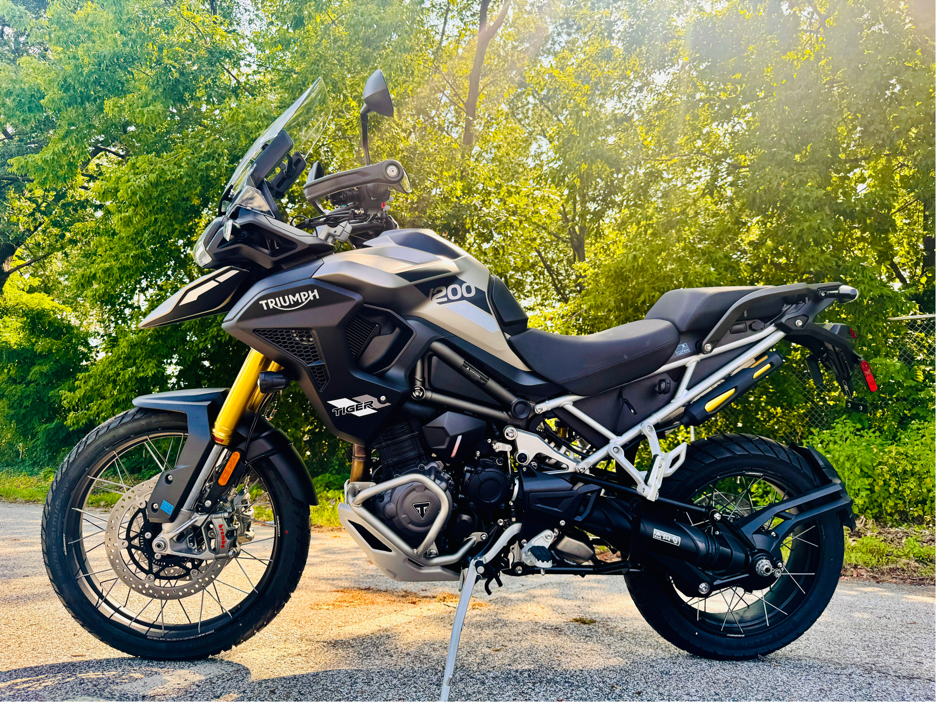 2025 Triumph Tiger 1200 Rally Pro in Manchester, New Hampshire - Photo 1