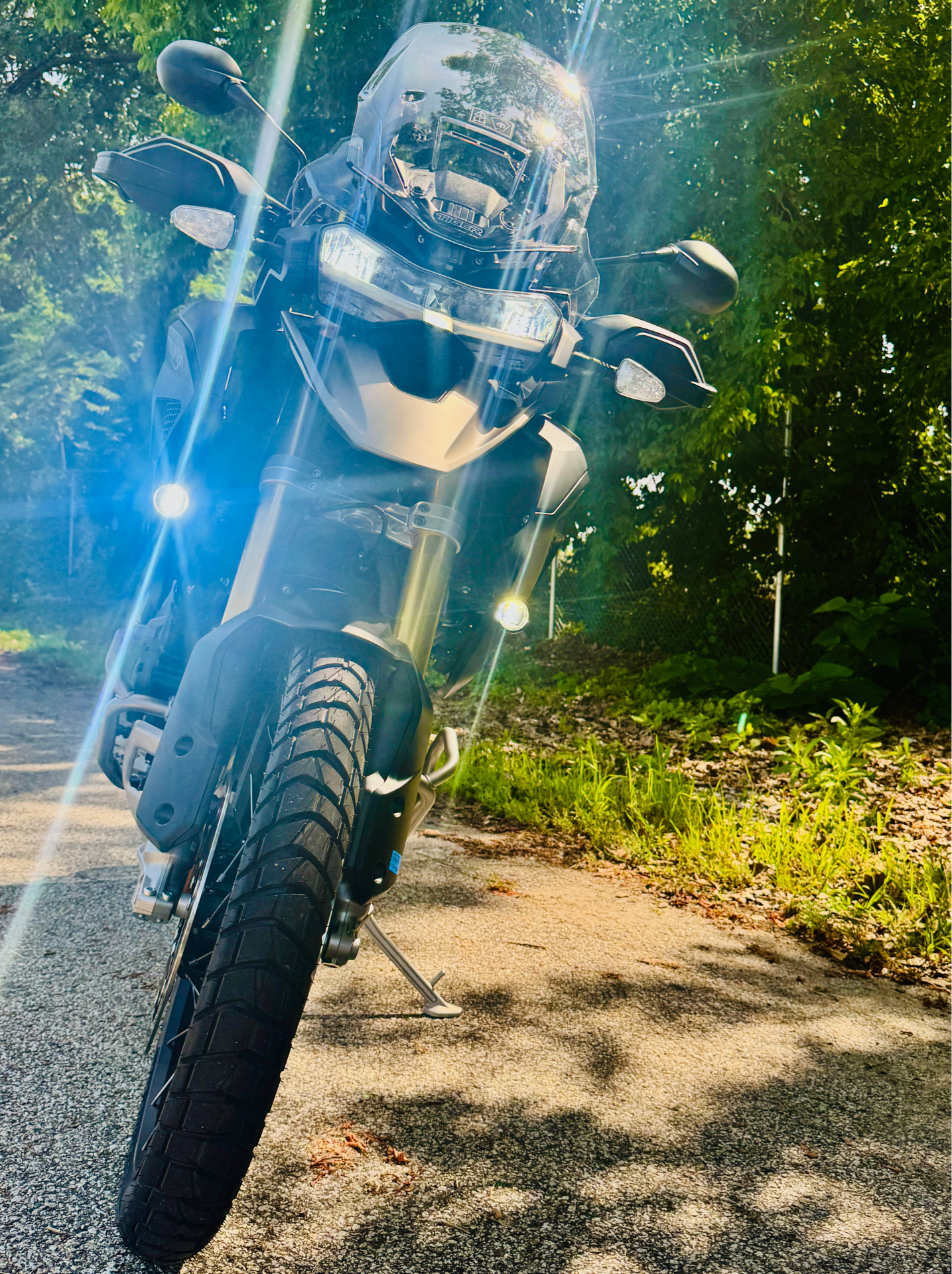 2025 Triumph Tiger 1200 Rally Pro in Manchester, New Hampshire - Photo 11