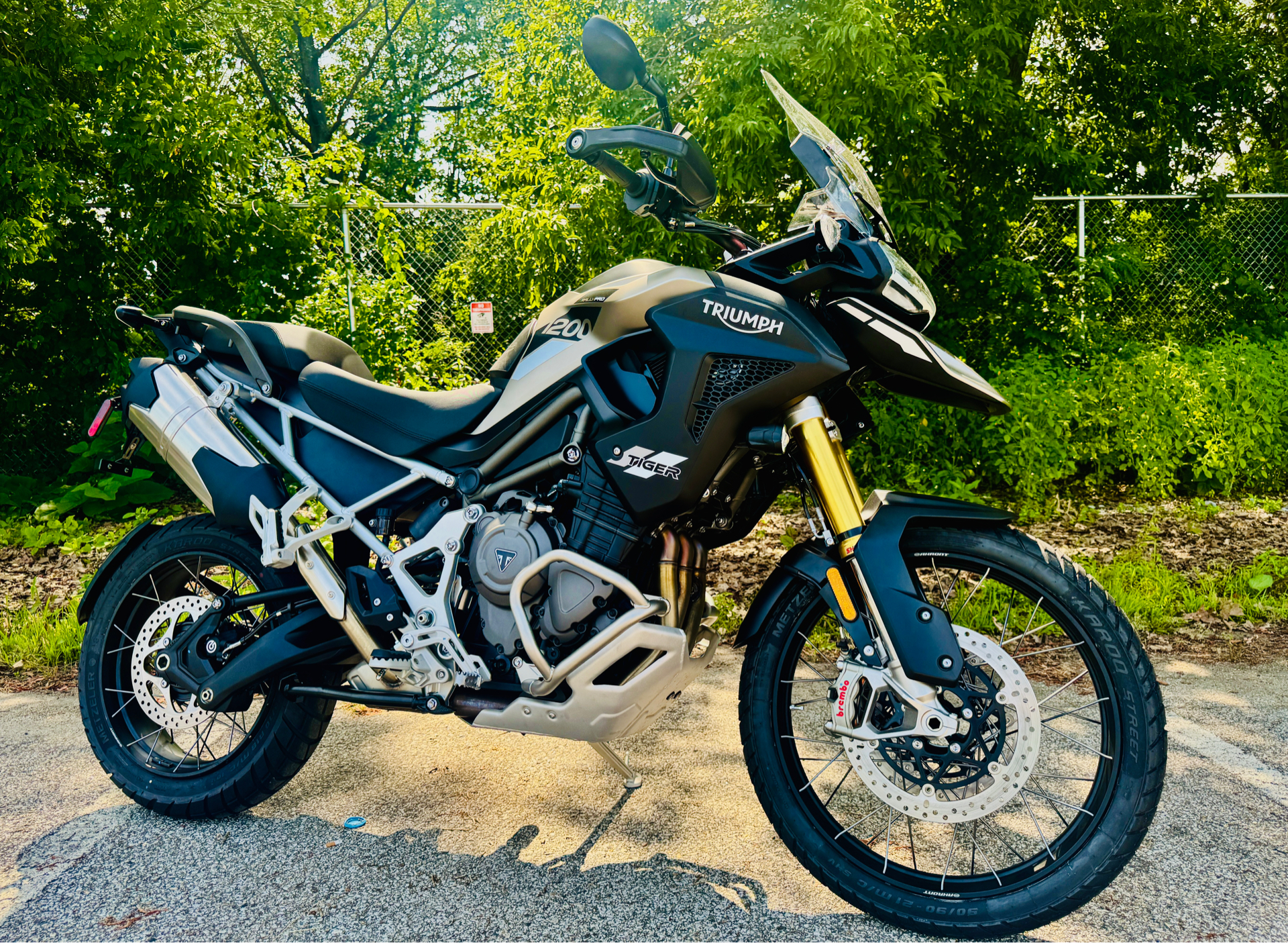 2025 Triumph Tiger 1200 Rally Pro in Manchester, New Hampshire - Photo 3