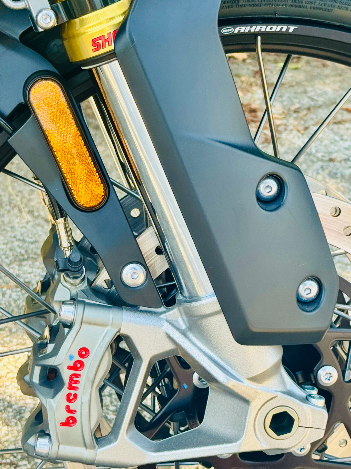 2025 Triumph Tiger 1200 Rally Pro in Manchester, New Hampshire - Photo 8