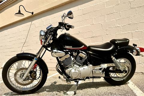 2025 Yamaha V Star 250 in Manchester, New Hampshire - Photo 1