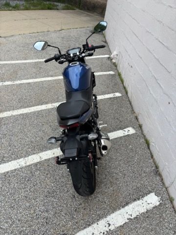 2023 Suzuki SV650 ABS in Manchester, New Hampshire - Photo 11