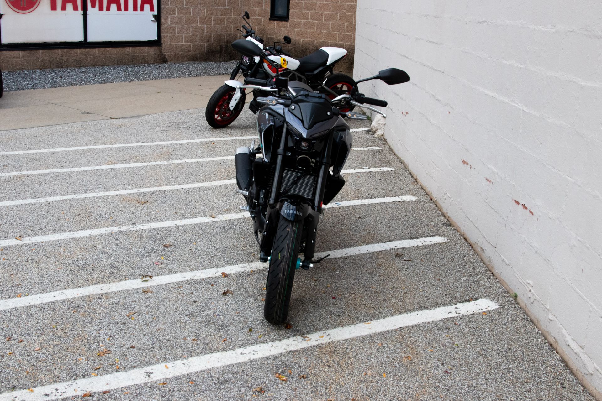 2024 Yamaha MT-03 in Manchester, New Hampshire - Photo 3