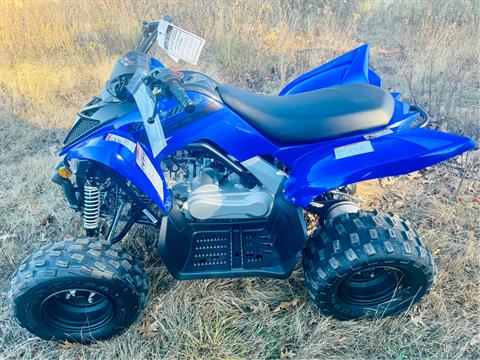 2025 Yamaha Raptor 110 in Enfield, Connecticut - Photo 3