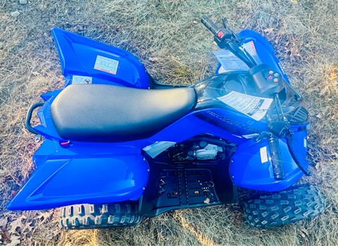 2025 Yamaha Raptor 110 in Enfield, Connecticut - Photo 5