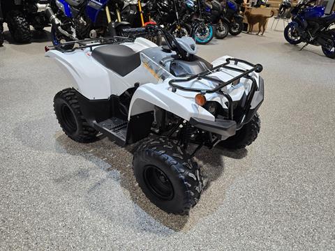 2024 Yamaha Grizzly 90 in Enfield, Connecticut - Photo 4