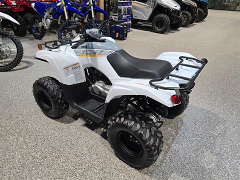 2024 Yamaha Grizzly 90 in Enfield, Connecticut - Photo 10