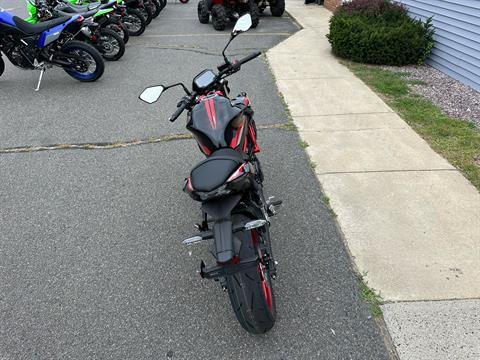 2024 Kawasaki Z650 ABS in Enfield, Connecticut - Photo 5