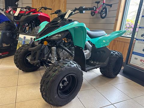 2025 Yamaha Raptor 110 in Topsham, Maine - Photo 1