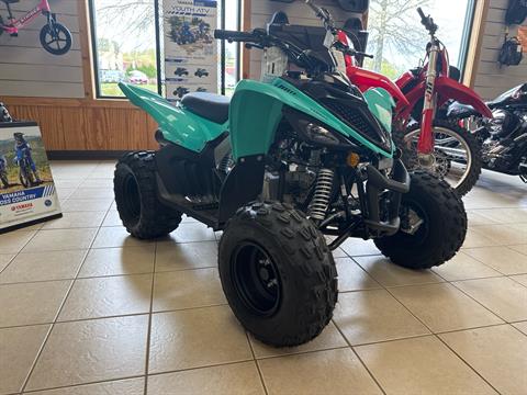 2025 Yamaha Raptor 110 in Topsham, Maine - Photo 3