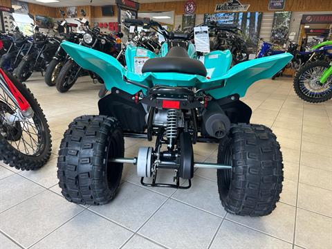 2025 Yamaha Raptor 110 in Topsham, Maine - Photo 5