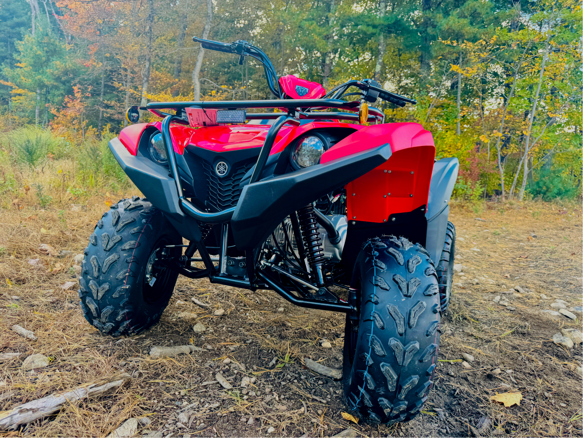 2025 Yamaha Grizzly 110 in Topsham, Maine - Photo 3