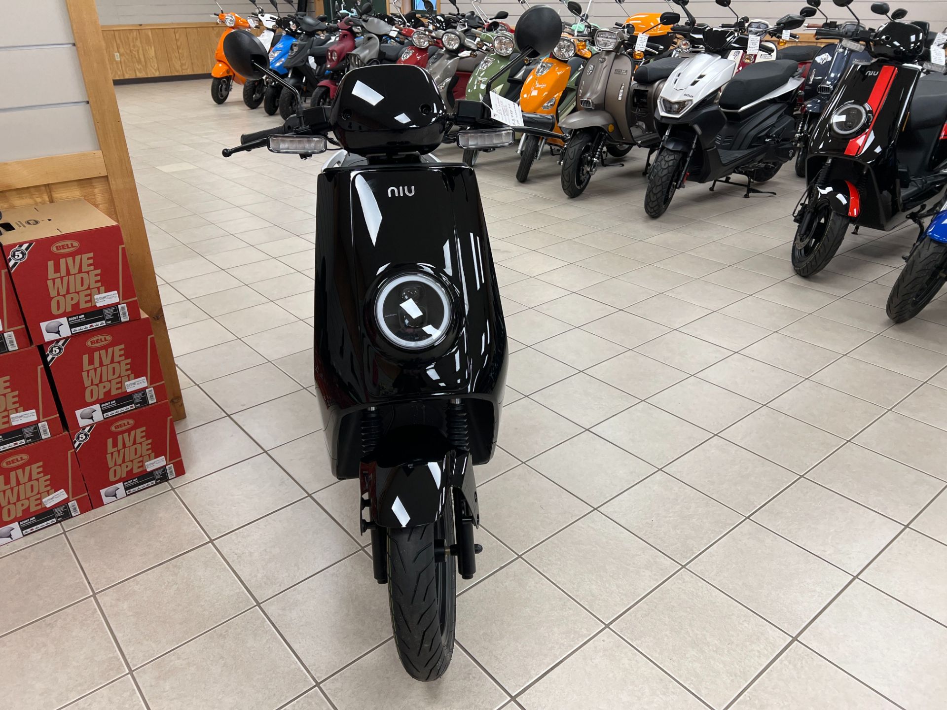2022 NIU NQi GTS Standard Range in Topsham, Maine - Photo 3