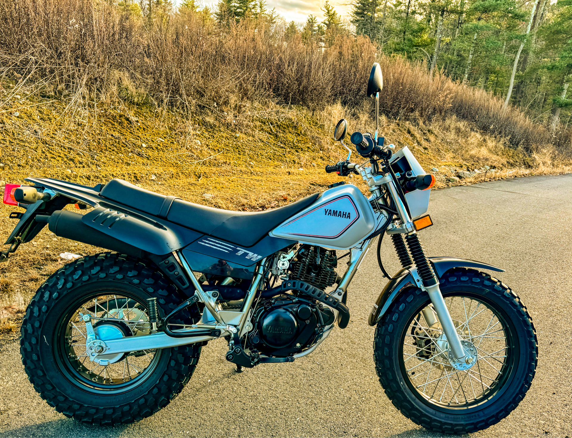 2025 Yamaha TW200 in Topsham, Maine - Photo 5